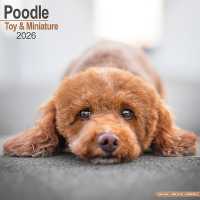 Poodle (Toy & Miniature) Calendar 2026 Square Dog Breed Wall Calendar - 16 Month