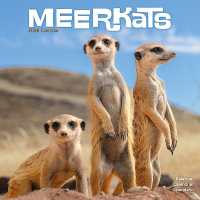 Meerkats Calendar 2026 Square Wildlife Safari Wall Calendar - 16 Month