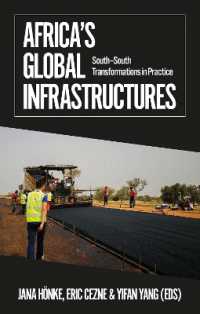 Africa's Global Infrastructures : South-South Transformations in Practice (African Arguments)