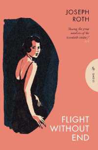 Flight without End (Pushkin Press Classics)