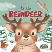Nature Stories: Little Reindeer （Board Book）