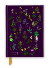 Anna Stead: For Spells & Potions (Foiled Journal) (Flame Tree Notebooks)