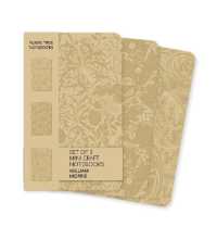 William Morris Set of 3 Mini Craft Notebooks (Mini Craft Notebook Collections)