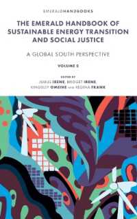 The Emerald Handbook of Sustainable Energy Transition and Social Justice : Contemporary Issues and Debates in the Global South (New Frontiers in African Business and Society)