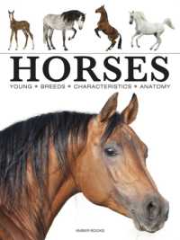 Horses (Mini Encyclopedias)