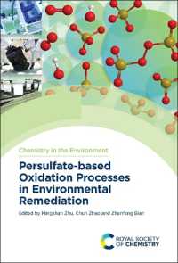 Persulfate-based Oxidation Processes in Environmental Remediation