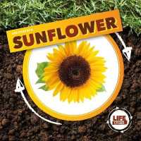 Life Cycle of a Sunflower (Life Cycle of A...)