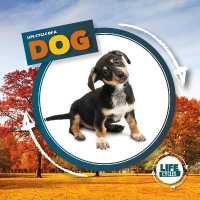 Life Cycle of a Dog (Life Cycle of A...)