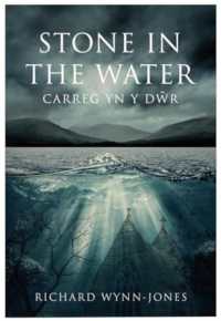Stone in the Water : Carreg Yn Y Dŵr