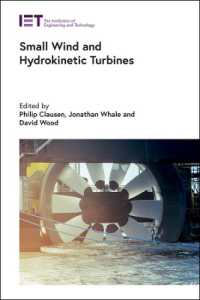 Small Wind and Hydrokinetic Turbines (Energy Engineering)