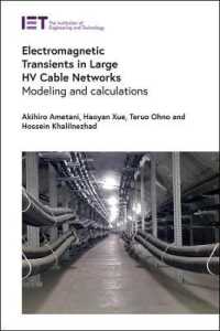 Electromagnetic Transients in Large Hv Cable Networks : Modeling and Calculations (Energy Engineering)