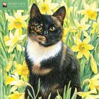 Ivory Cats 2021 Calendar （WAL）