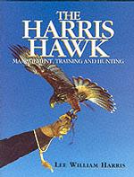 The Harris Hawk : Management, Training and Hunting