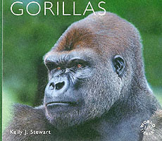 Gorillas -- Paperback