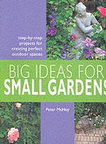 Big Ideas for Small Gardens : Step-By-Step Projects for Creating Perfect Outdoor Spaces