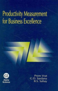 Productivity Measurement for Business Excellence -- Hardback