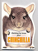 Getting to Know Your Chinchilla