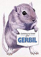 Getting to Know Your Gerbil