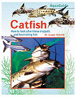 Catfish : How to Look after These Attractive and Fascinating Fishes (Aquaguide)