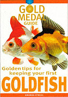 Golden Tips for Keeping Your First Goldfish (Gold Metal Guide)