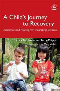 A Child's Journey to Recovery : Assessment and Planning with Traumatized Children (Delivering Recovery)