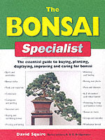 The Bonsai Specialist (Specialist Series)