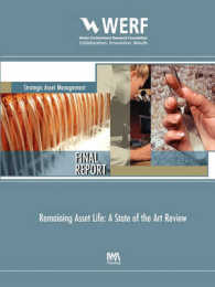Remaining Asset Life : A State of the Art Review (Werf Research Report Series)