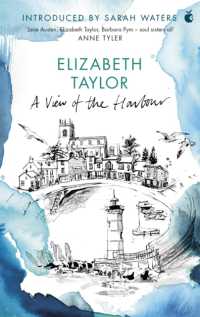 A View of the Harbour : A Virago Modern Classic (Virago Modern Classics)