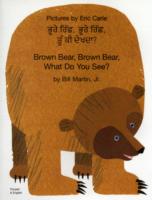 Brown Bear, Brown Bear (Punjabi & English) -- Paperback / softback (Hindi Language Edition)