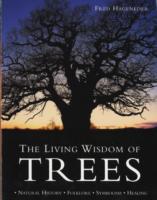 Living Wisdom of Trees : Natural History * Folklore * Symbolism * Healing -- Paperback