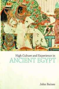 High Culture and Experience in Ancient Egypt (Studies in Egyptology & the Ancient Near East)