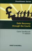 裁判所を通じた債権回収<br>Debt Recovery through the Courts -- Paperback