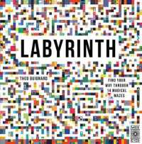 Labyrinth : Find Your Way through 14 Magical Mazes