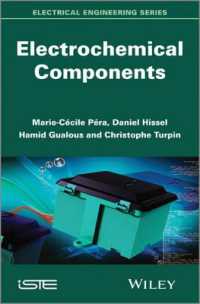 Electrochemical Components (Electrical Engineering)