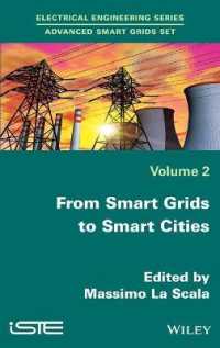 From Smart Grids to Smart Cities : New Challenges in Optimizing Energy Grids