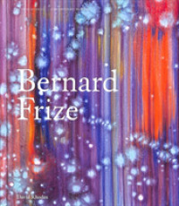 Bernard Frize (Contemporary Painters Series)