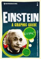 Introducing Einstein : A Graphic Guide (Introducing...) -- Paperback
