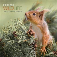 British Wildlife Photography Awards 2020 Calendar