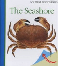 The Seashore (My First Discoveries) （SPI）
