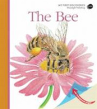 Bee (My First Discoveries) -- Spiral bound (English Language Edition)