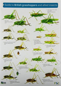 Guide to British Grasshoppers and Allied Insects (Occasional Publications S.)