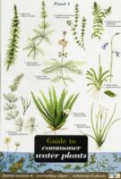 Guide to Commoner Water Plants (Field Studies Council Occasional Publications S.)