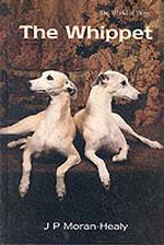 The Whippet