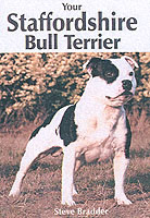 Your Staffordshire Bull Terrier