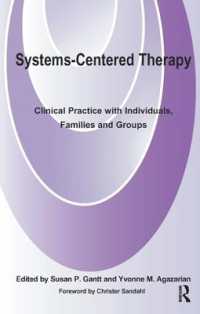 Systems-Centered Therapy : Clinical Practice with Individuals, Families and Groups