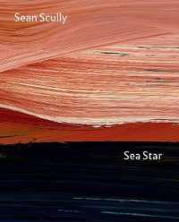 Sea Star : Sean Scully at the National Gallery