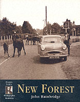 New Forest : Photographic Memories