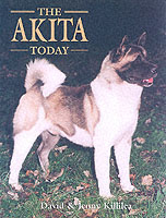 The Akita Today