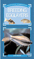 Breeding Egglayers