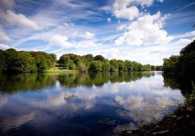 Yorkshire Sculpture Park: The Bretton Estate : A Guide to the Historic Lakes and Woodland